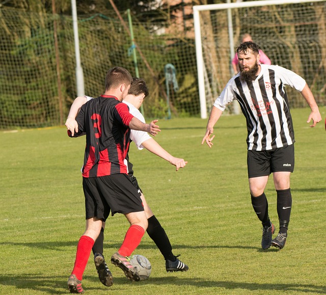 在他的职业 在他的职业