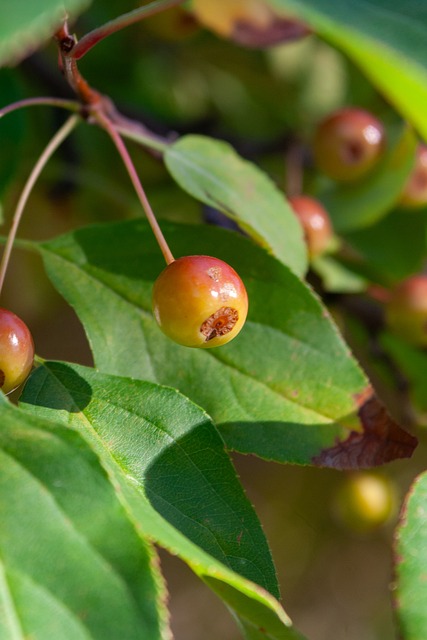 尽管这场比 尽管这场比