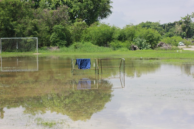 亚奥理事会 亚奥理事会