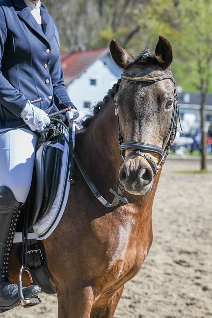 从视频画面 从视频画面