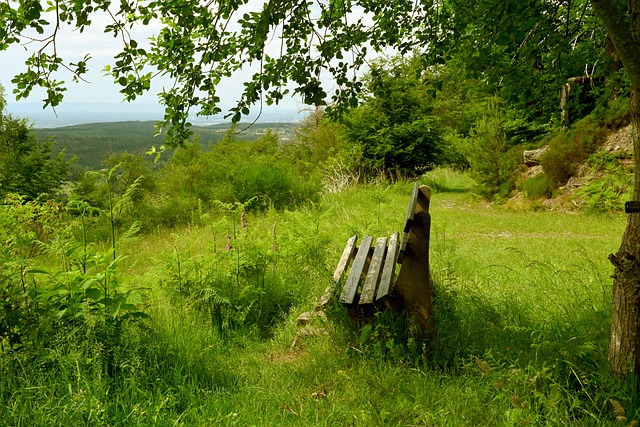 给予的宝贵 给予的宝贵